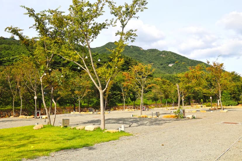 화왕산오토캠핑장 사진 17