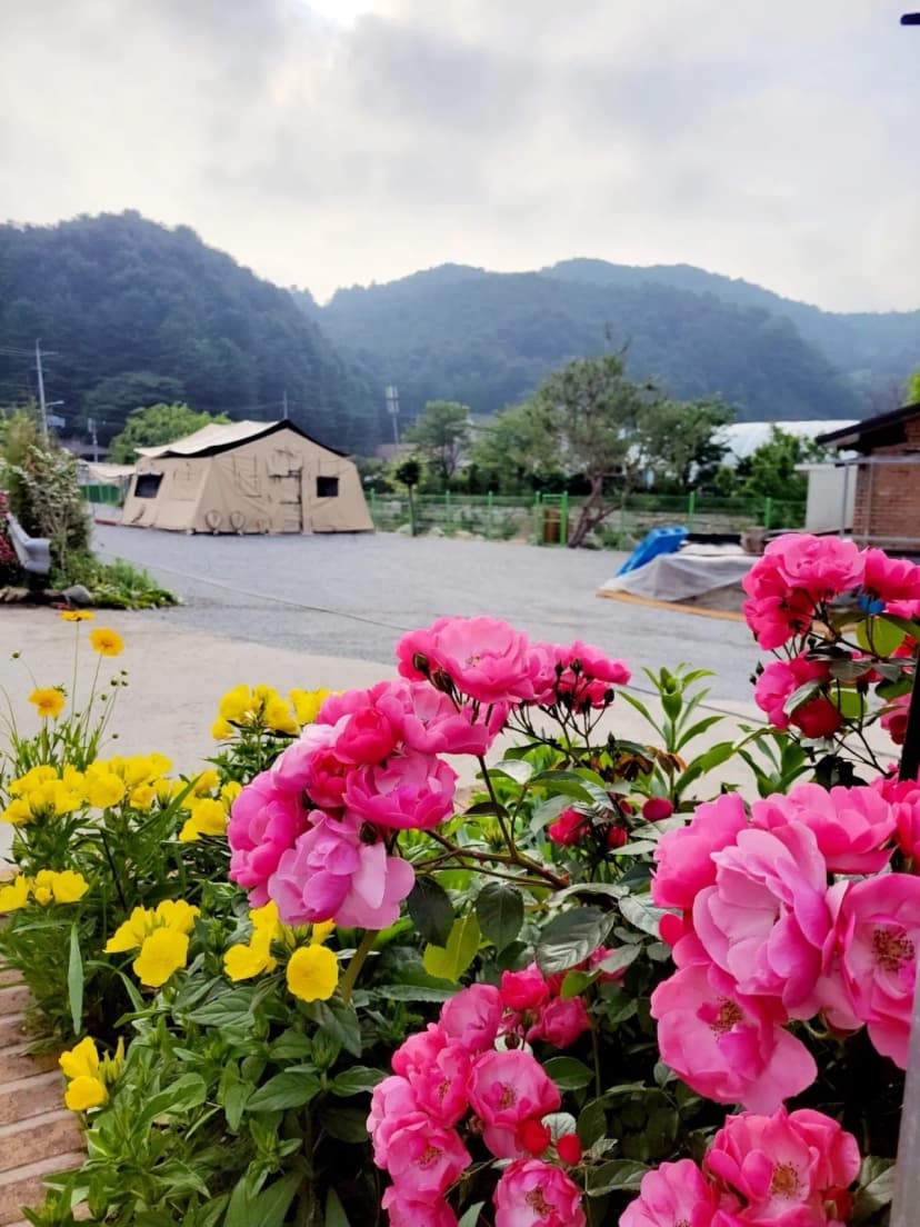 블루밍 캠핑장 사진 14