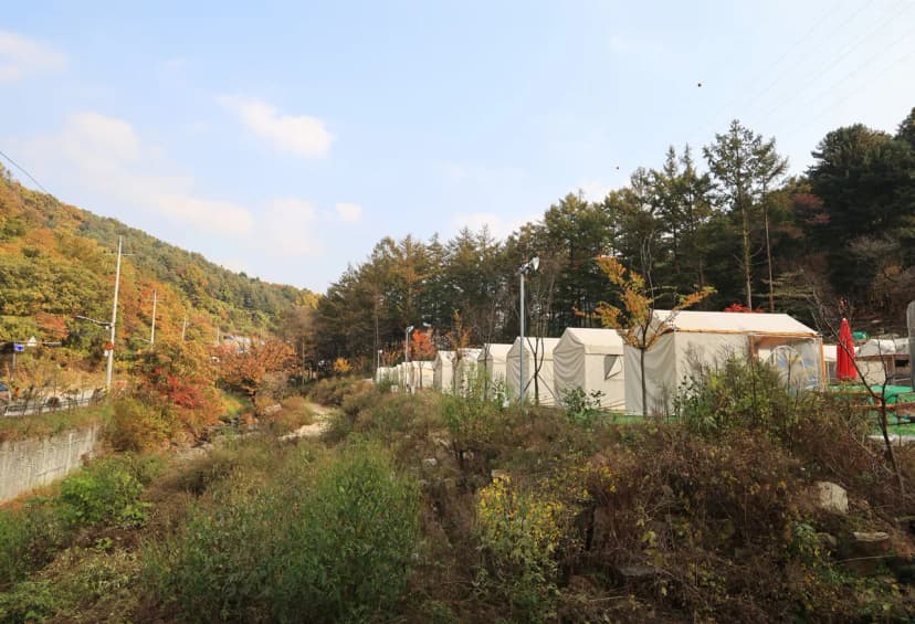인디언숲 캠프닉 사진 21