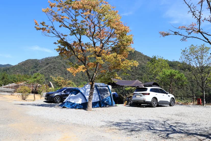 도담캠핑장 사진 14