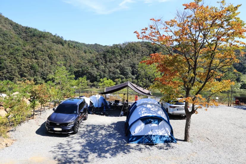 도담캠핑장 사진 17