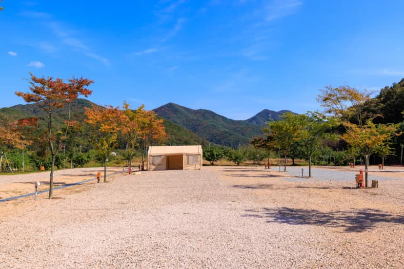 돌고래 오토 캠핑장 사진 6