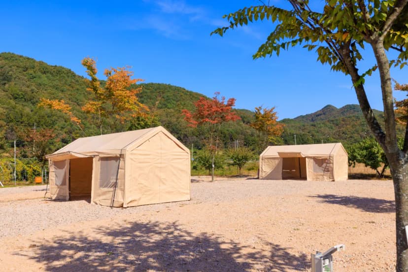 돌고래 오토 캠핑장 사진 8
