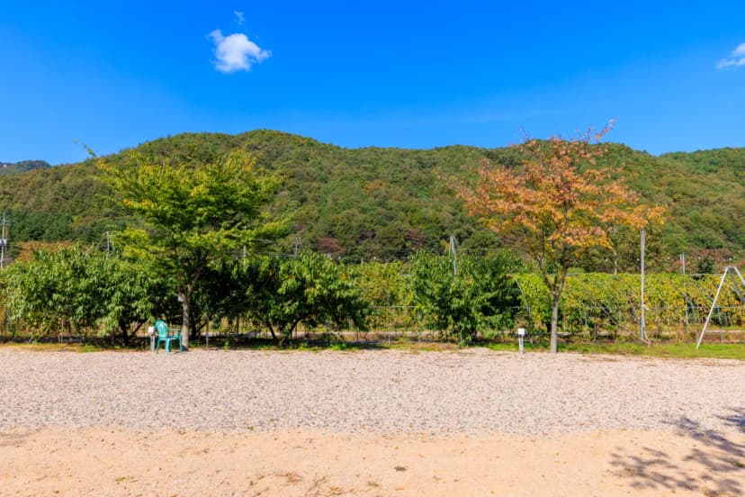 돌고래 오토 캠핑장 사진 10
