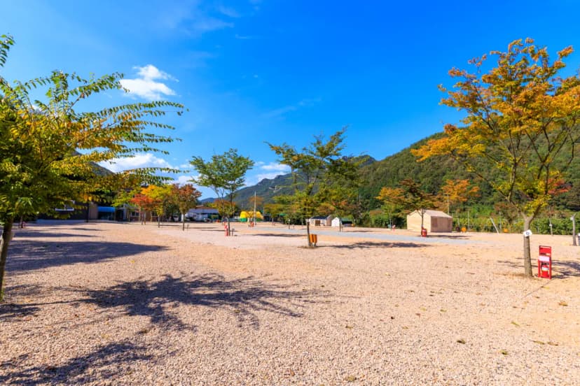 돌고래 오토 캠핑장 사진 12