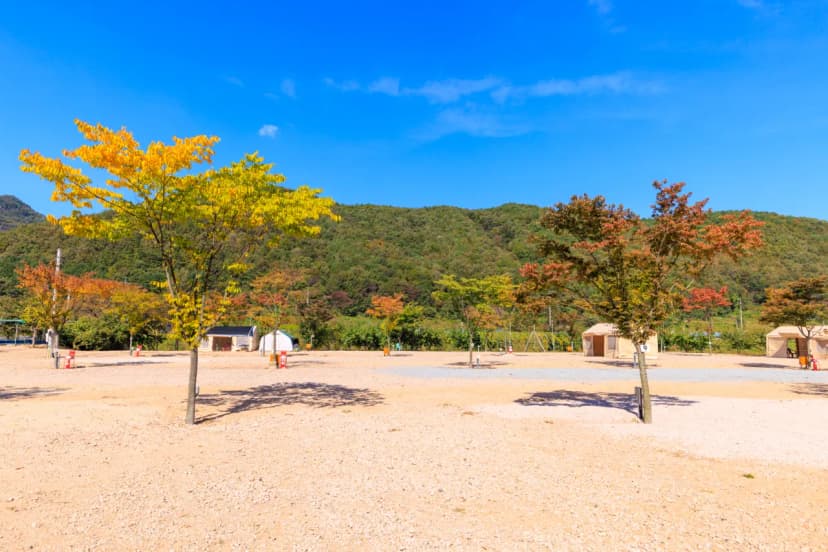 돌고래 오토 캠핑장 사진 14