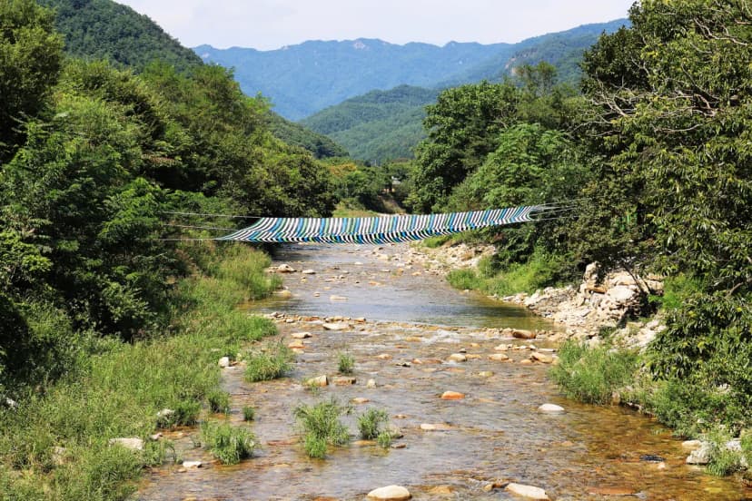 새솔캠핑장&펜션 사진 13