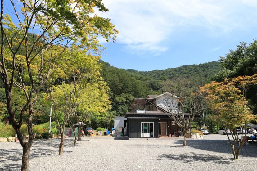 새솔캠핑장&펜션 사진 16
