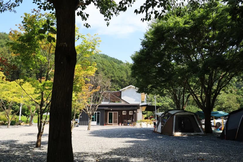 새솔캠핑장&펜션 사진 18