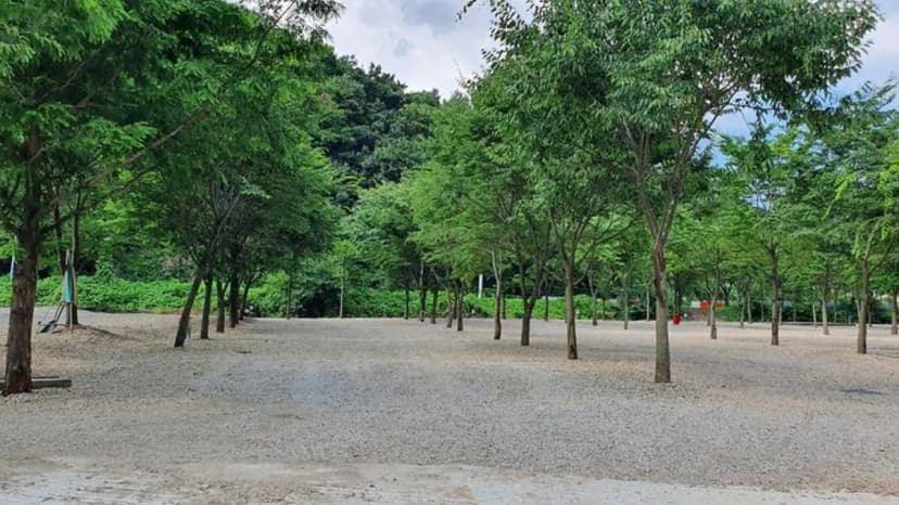 금산 자연 오토캠핑장 사진 3