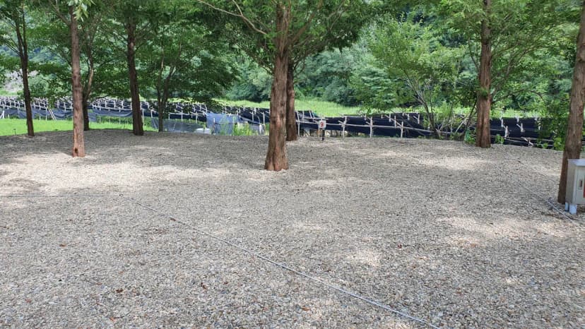 금산 자연 오토캠핑장 사진 7