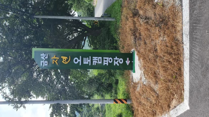 금산 자연 오토캠핑장 사진 15