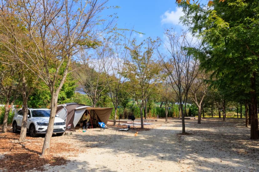 금산 자연 오토캠핑장 사진 19