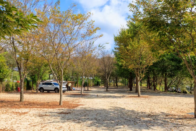금산 자연 오토캠핑장 사진 20