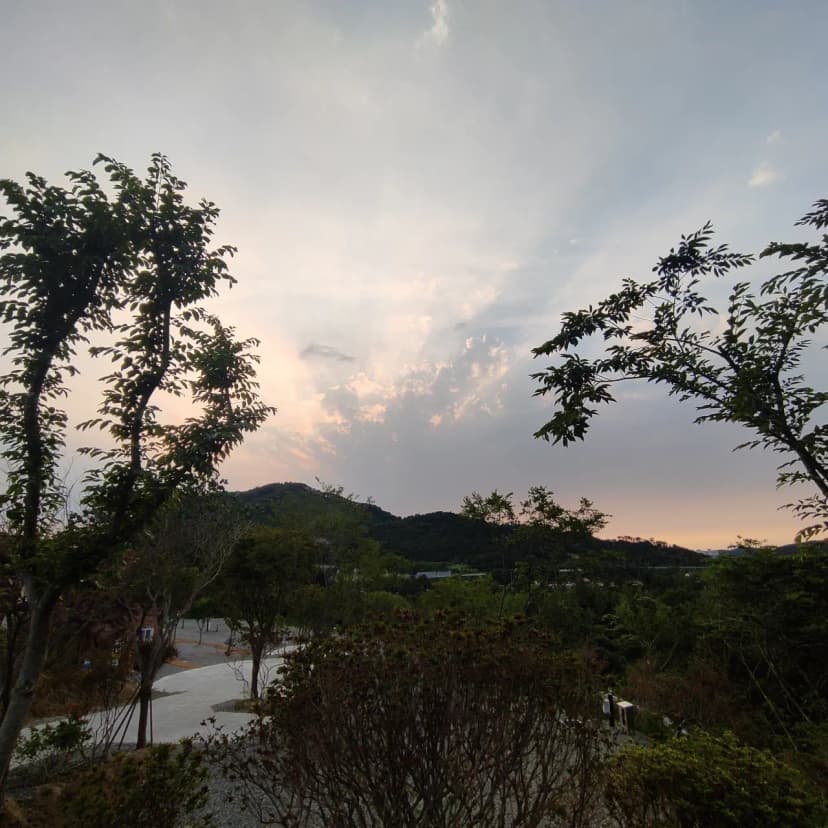 노을숲캠핑장 사진 6