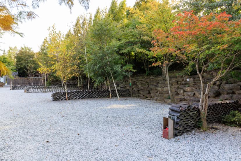 산중계곡캠핑장 사진 8