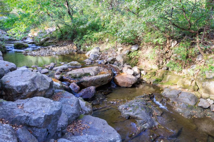산중계곡캠핑장 사진 15