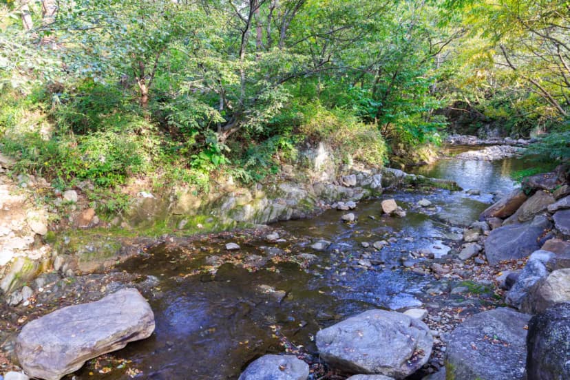 산중계곡캠핑장 사진 16
