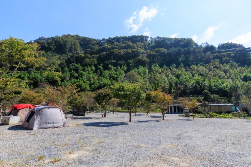 육백고지 캠핑장 사진 5