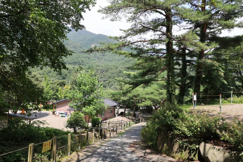 비발디 캠핑파크 설악오색점 사진 6