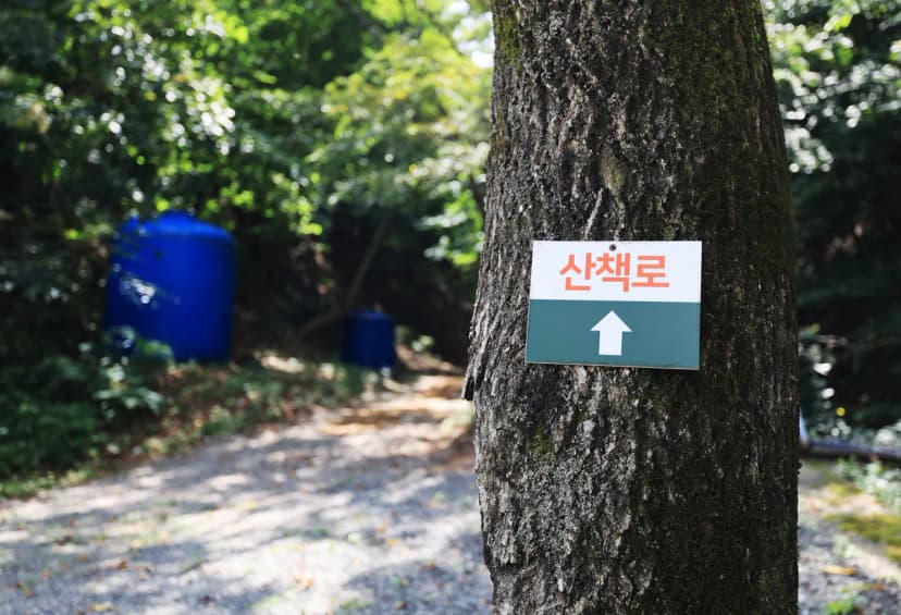 비발디 캠핑파크 설악오색점 사진 8