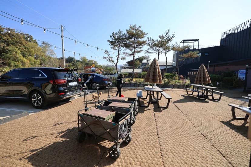 라구나캠프 사진 21