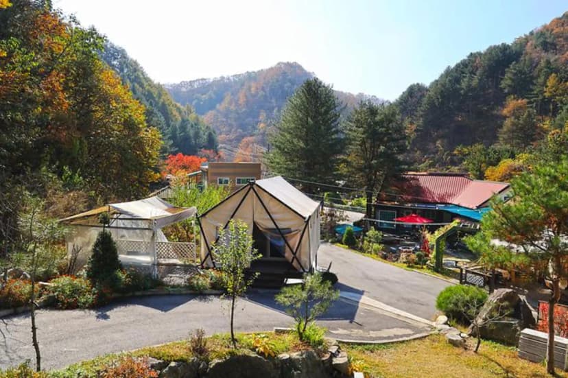 테라스527 캠핑장 사진 2