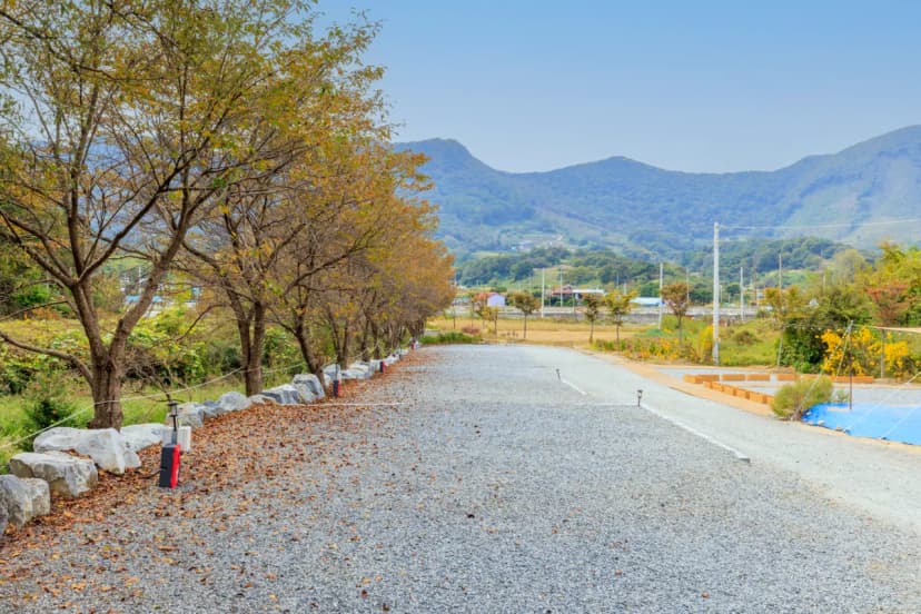북두칠성캠핑장 사진 6