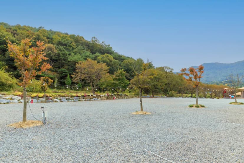 북두칠성캠핑장 사진 14