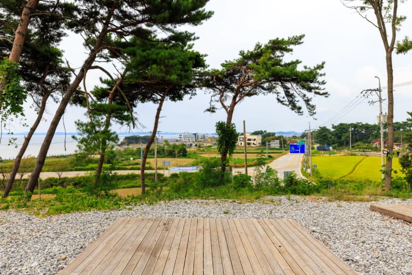 캠핑힐(Camping hill) 사진 15