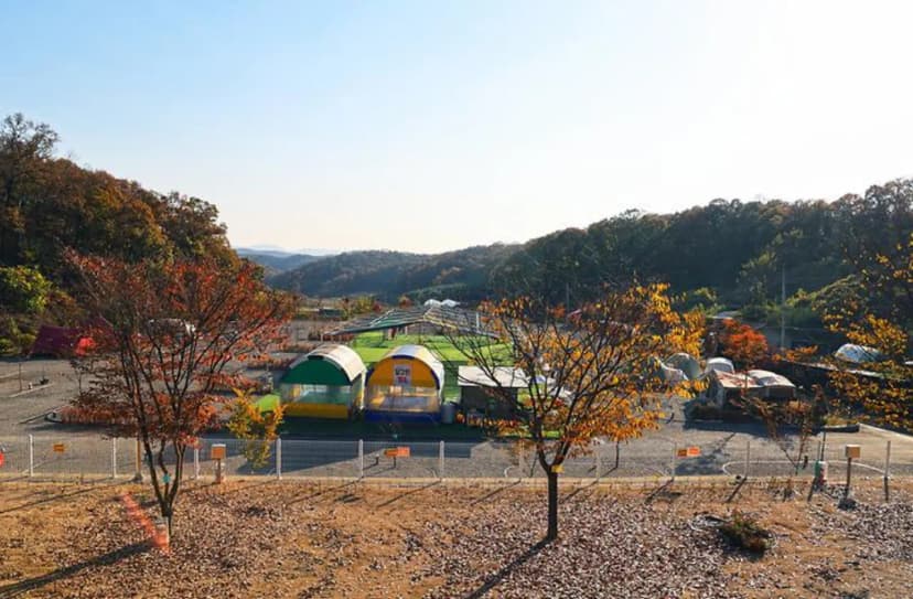 달그린캠프 사진 3