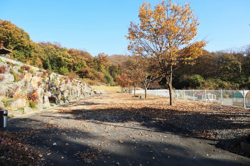 달그린캠프 사진 10