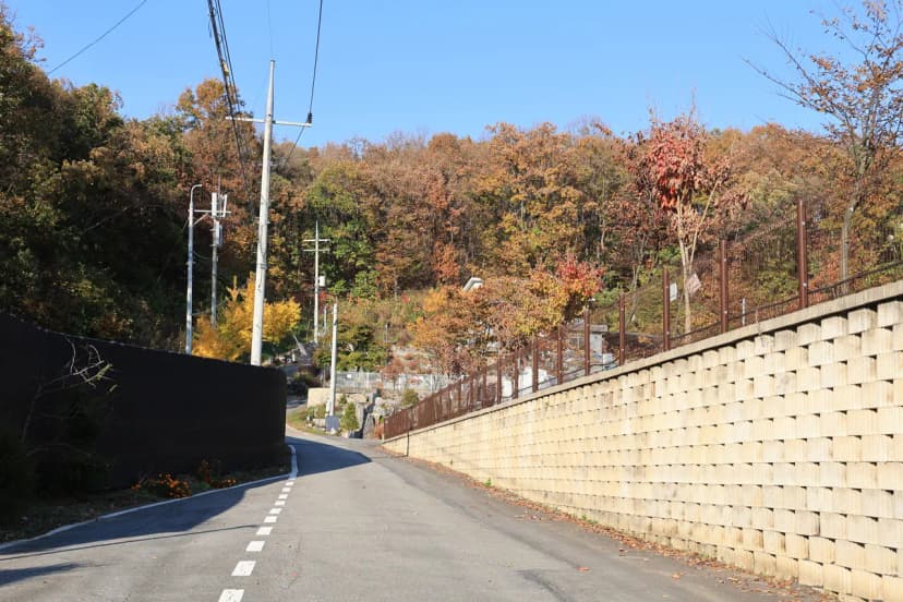 달그린캠프 사진 13