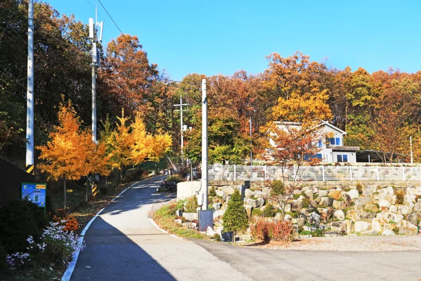 달그린캠프 사진 18