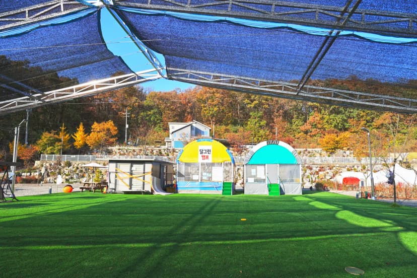 달그린캠프 사진 20