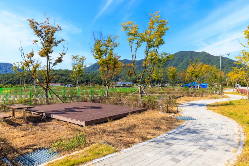 십승지힐링캠핑장 사진 10