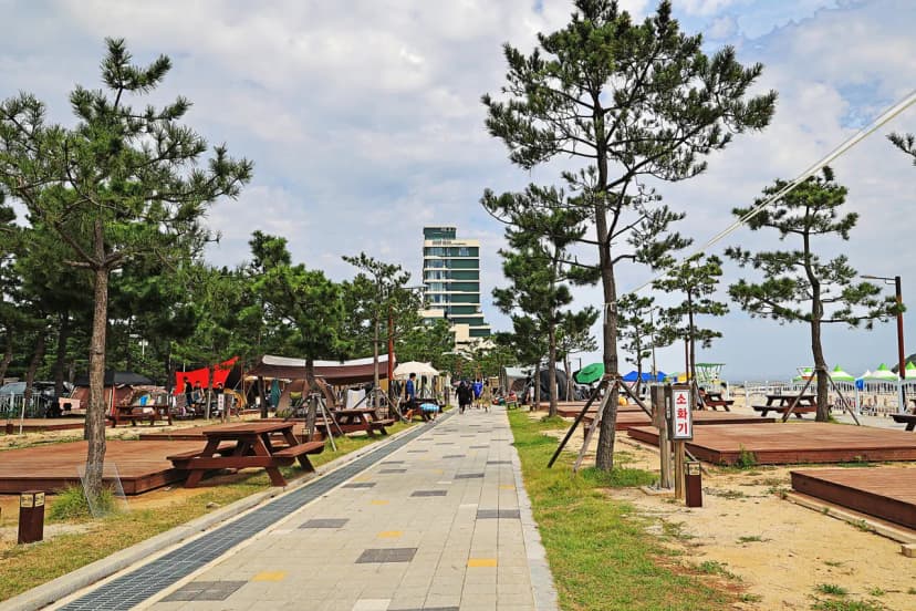 오호(OHO!) 캠핑장 사진 8