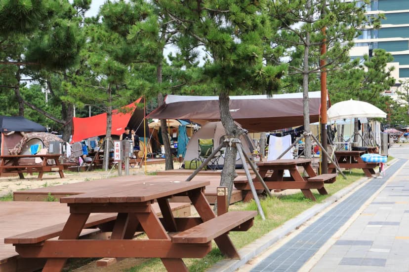 오호(OHO!) 캠핑장 사진 10