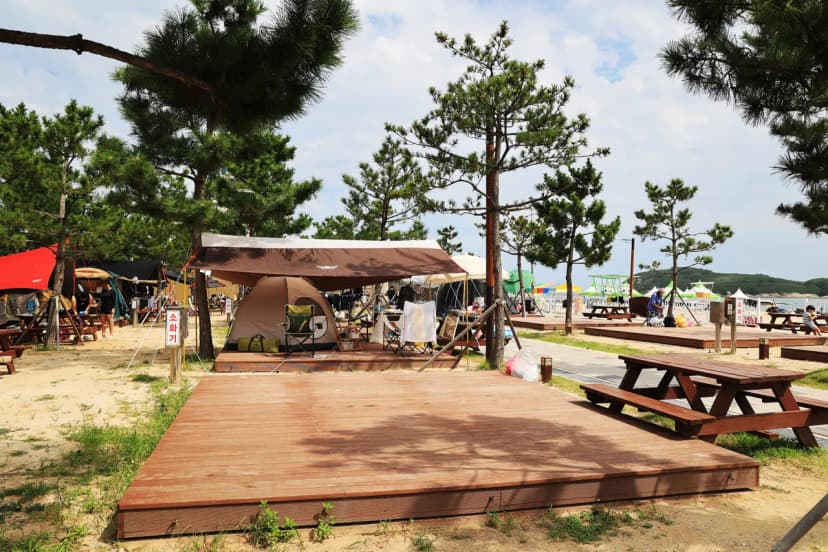 오호(OHO!) 캠핑장 사진 13