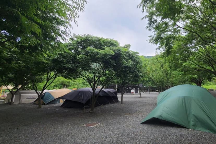 알프스캠핑 사진 4