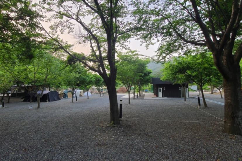 알프스캠핑 사진 6