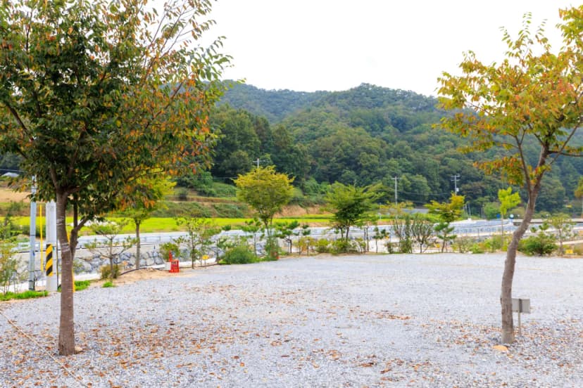 은성낚시공원캠핑장 사진 11