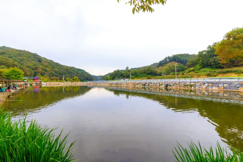 은성낚시공원캠핑장 사진 16