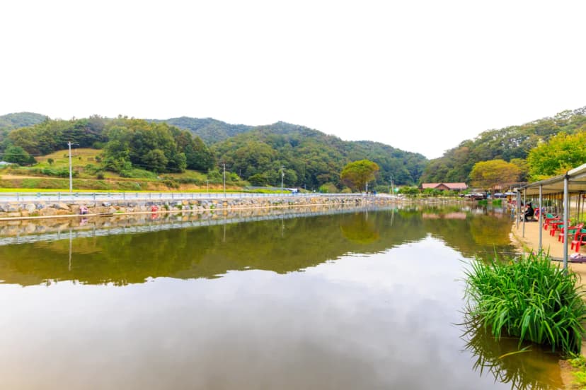 은성낚시공원캠핑장 사진 17
