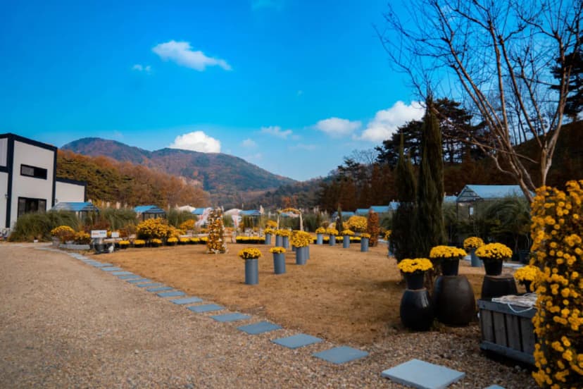 더힐링식물원 야영장 사진 15