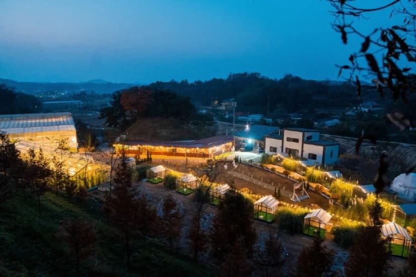 더힐링식물원 야영장 사진 20