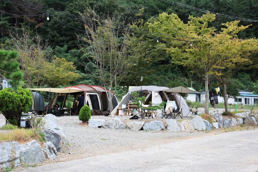 바다랑 캠핑장 사진 7