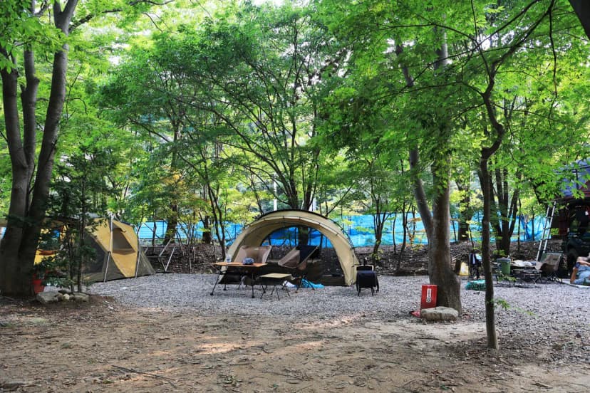 태양힐링숲 사진 7