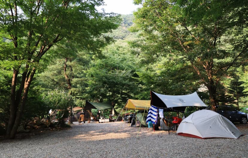 태양힐링숲 사진 19
