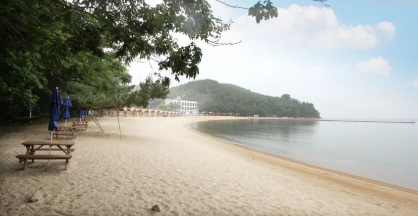 수기해수욕장 야영장 사진 8